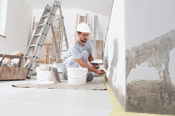 Best Mold Documentation for Insurance Claims  in Franklinville, NC