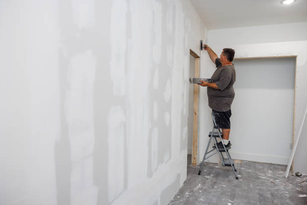 Franklinville, NC Mold Removal Company