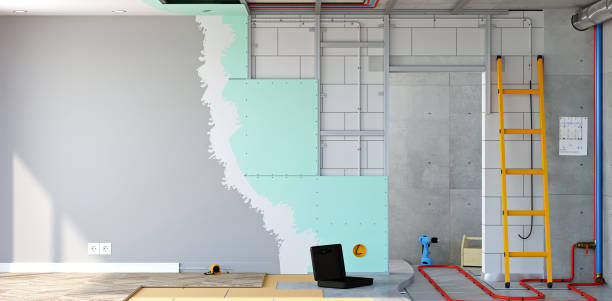 Best Basement Mold Removal  in Franklinville, NC
