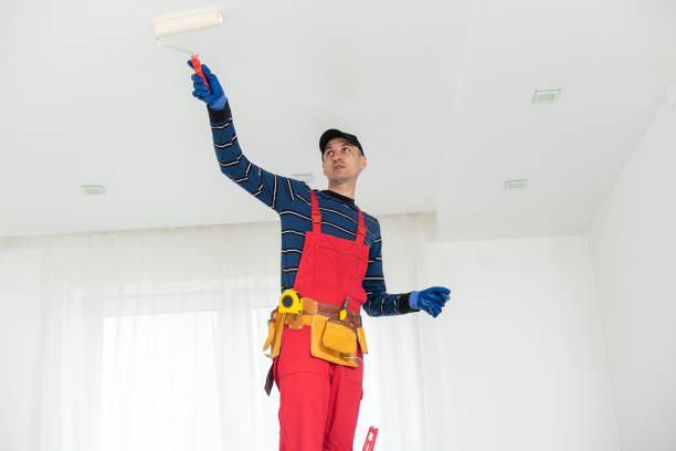 Best Asbestos and Lead Testing During Mold Inspection  in Franklinville, NC